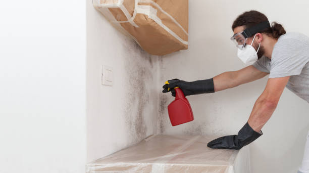 Professional Mold Cleanup technician working in Miller Place, NY